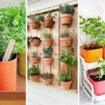 Building a Home Herb Garden: DIY Project