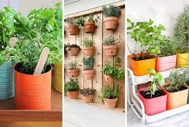 Building a Home Herb Garden: DIY Project