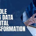 Big Data Analytics in Digital Transformation