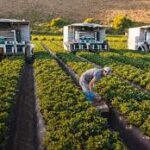 Robotics in Agriculture: Automated Farming Solutions