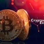 Cryptocurrency Explained: A Beginner's Guide