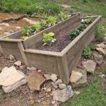 Building a Raised Garden Bed for Your Yard