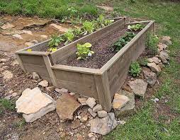 Building a Raised Garden Bed for Your Yard