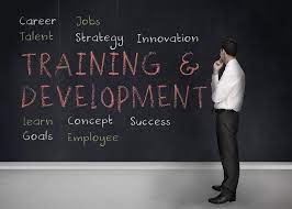 Effective Employee Training and Development Programs
