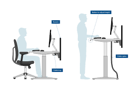 Introduction to Ergonomic Home Office Spaces