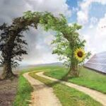 The Future of Renewable Energy: Illuminating Pathways with Solar and Wind Power