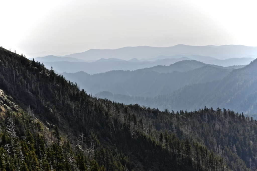 Smoky Mountains